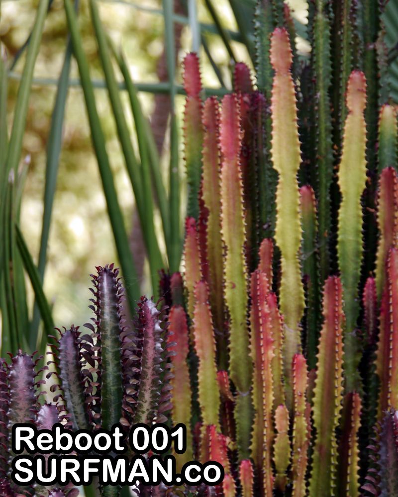 Reboot Zine 001